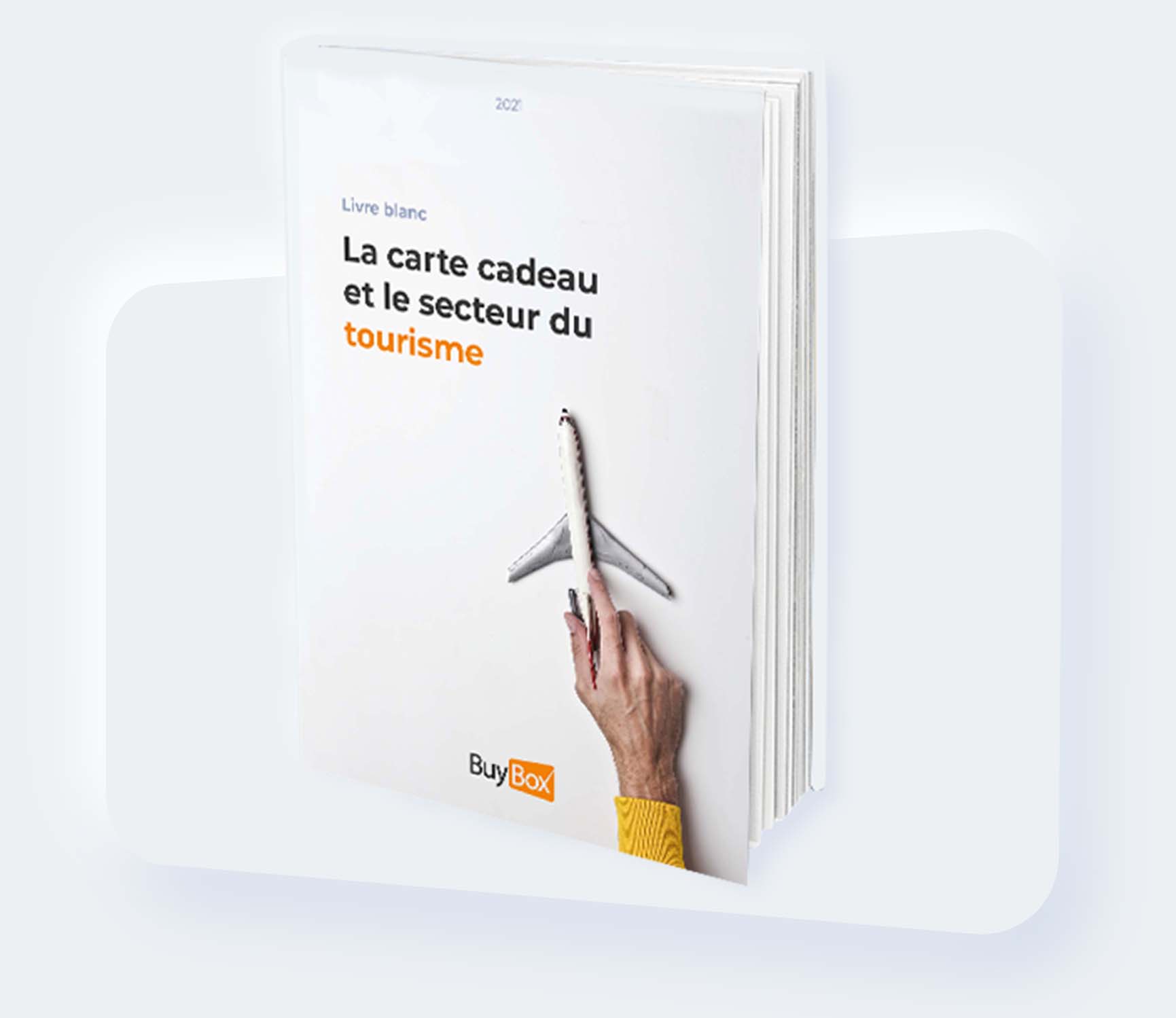 LB encart LP tourisme